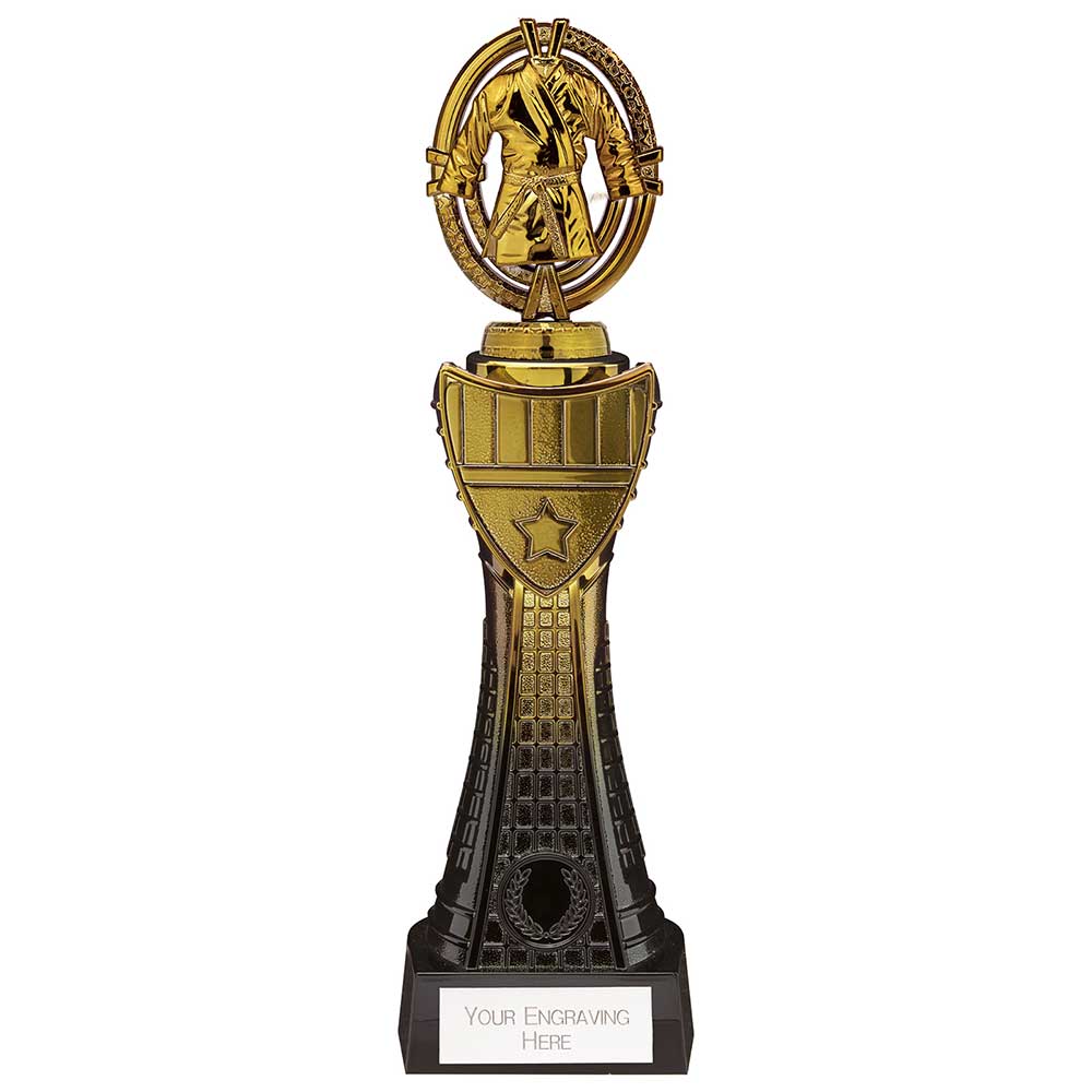 Maverick Heavyweight Martial Arts Award