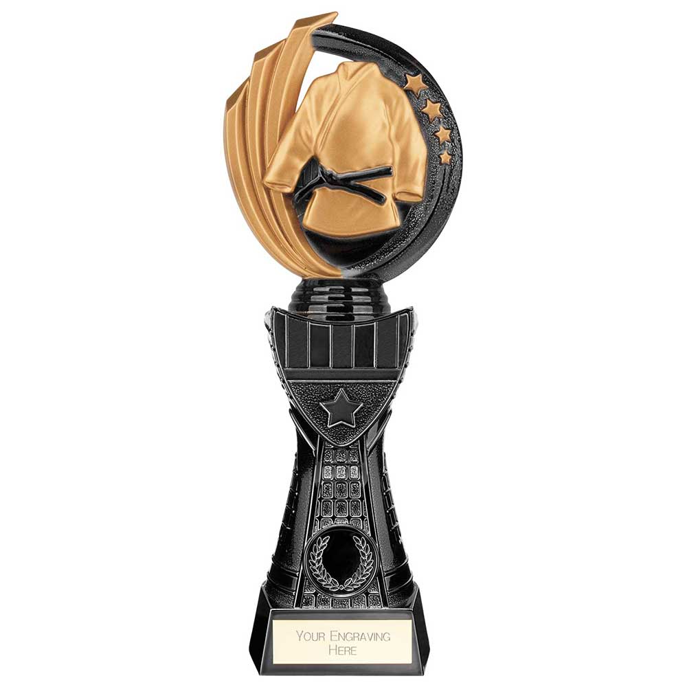 Renegade Heavyweight Martial Arts Award