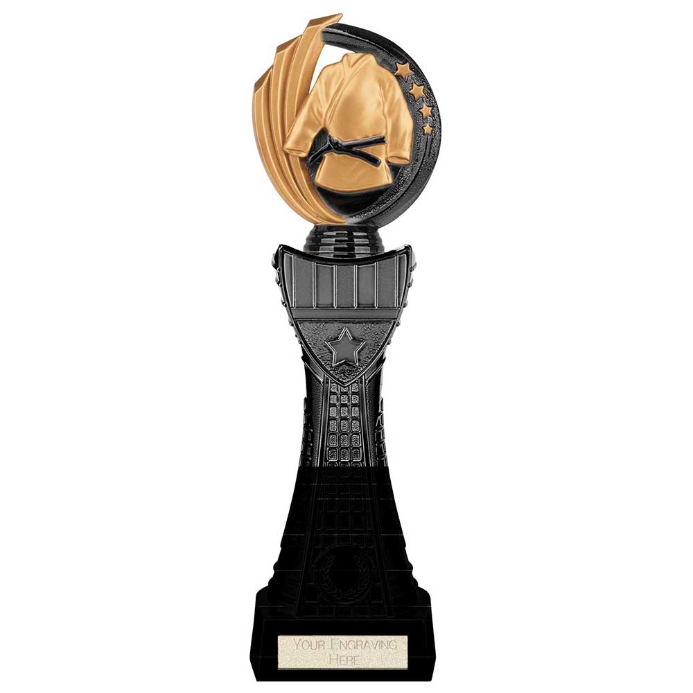 Renegade Heavyweight Martial Arts Award