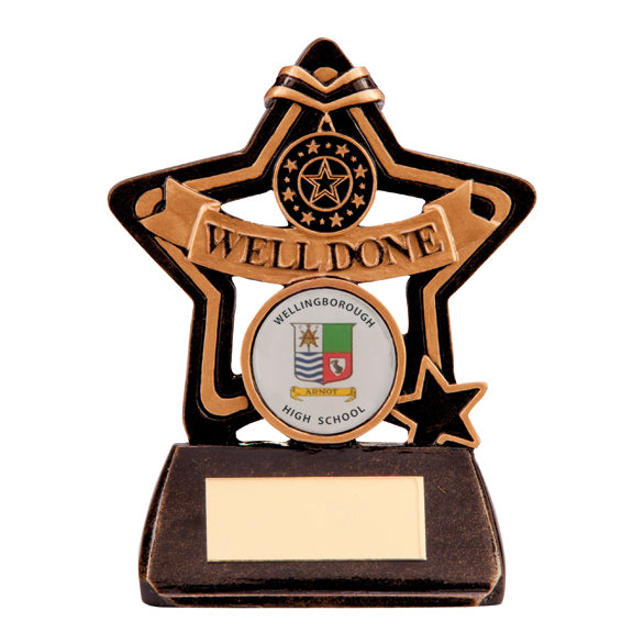 Little Star Well Done Award