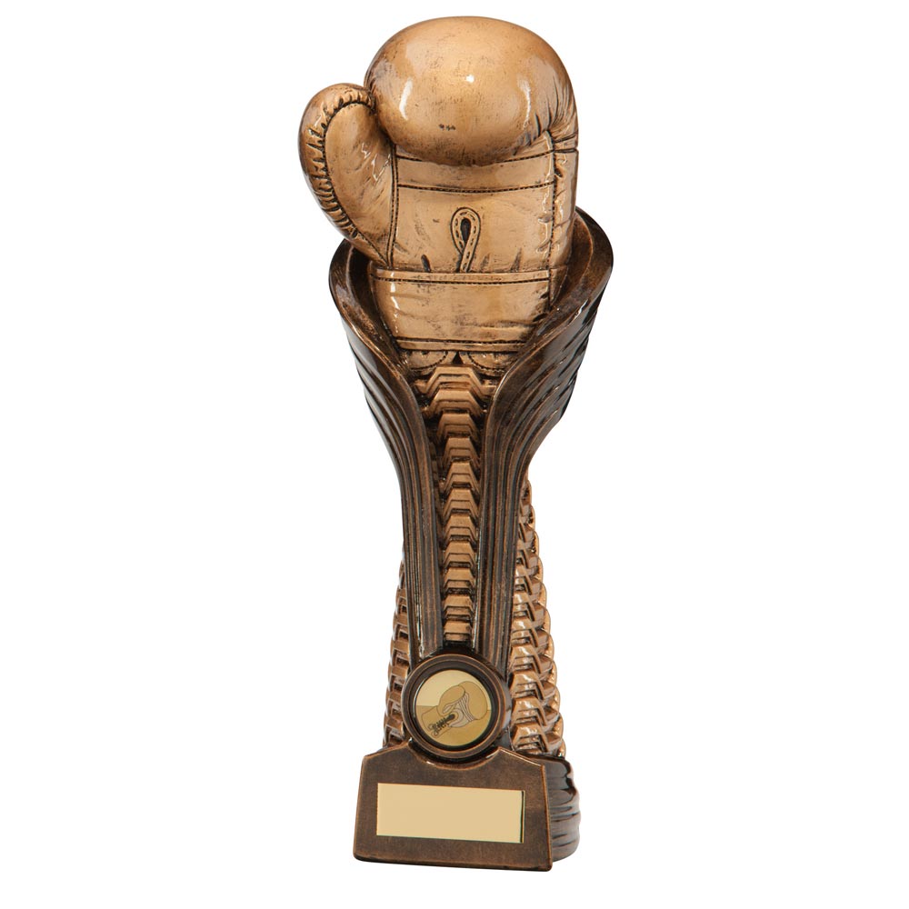 Gauntlet Boxing Award