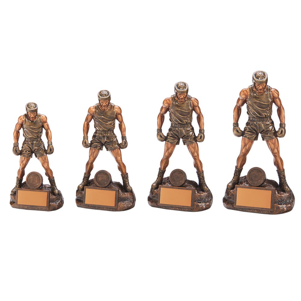 Ultimate Boxing Award - Trophies - Prudhoe Rosettes