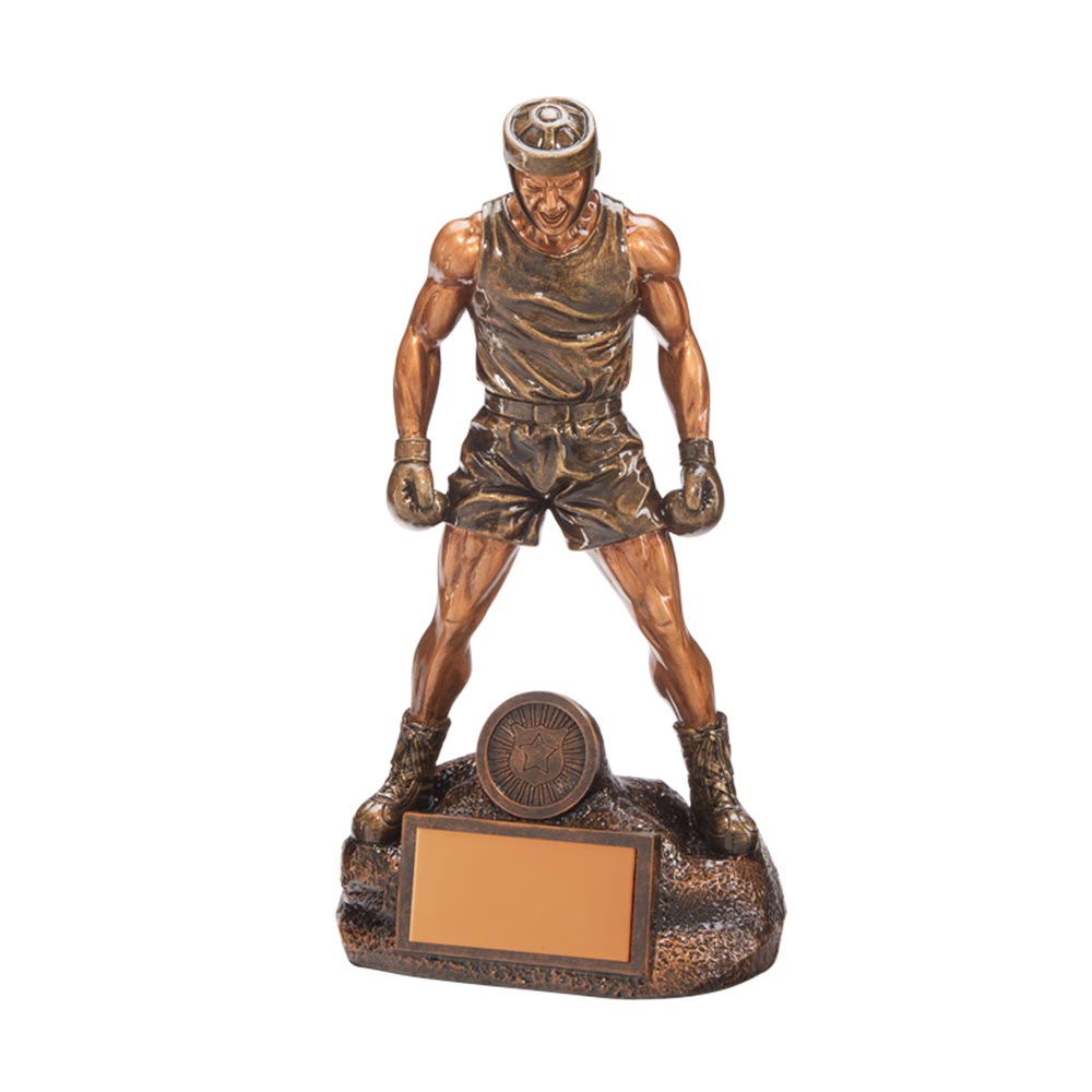 Ultimate Boxing Award