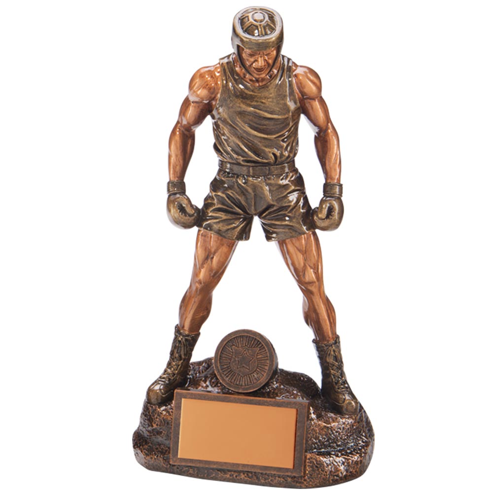 Ultimate Boxing Award