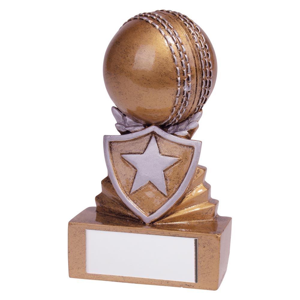 Shield Cricket Mini Award