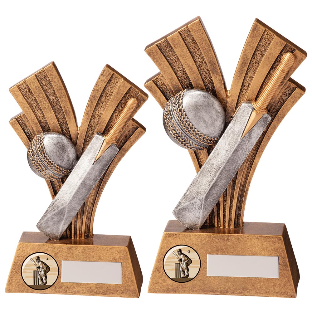 Xplode Cricket Award - Trophies - Prudhoe Rosettes
