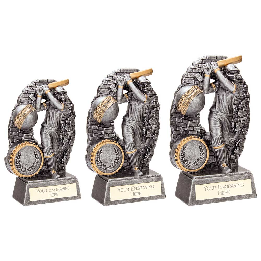 Blast Out Cricket Male Series - Trophies - Prudhoe Rosettes