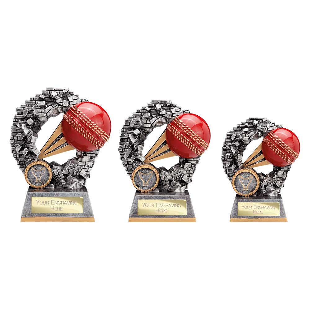 Blast Out Cricket Award - Trophies - Prudhoe Rosettes