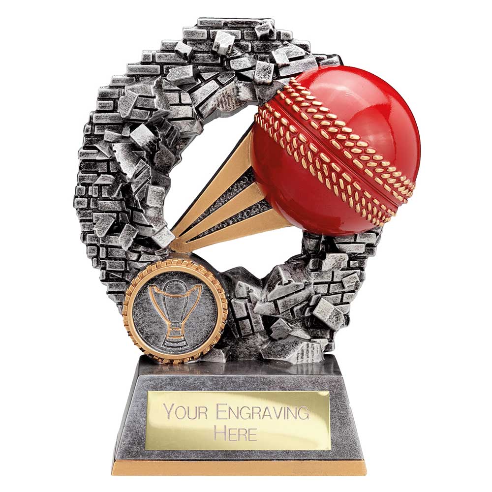 Blast Out Cricket Award
