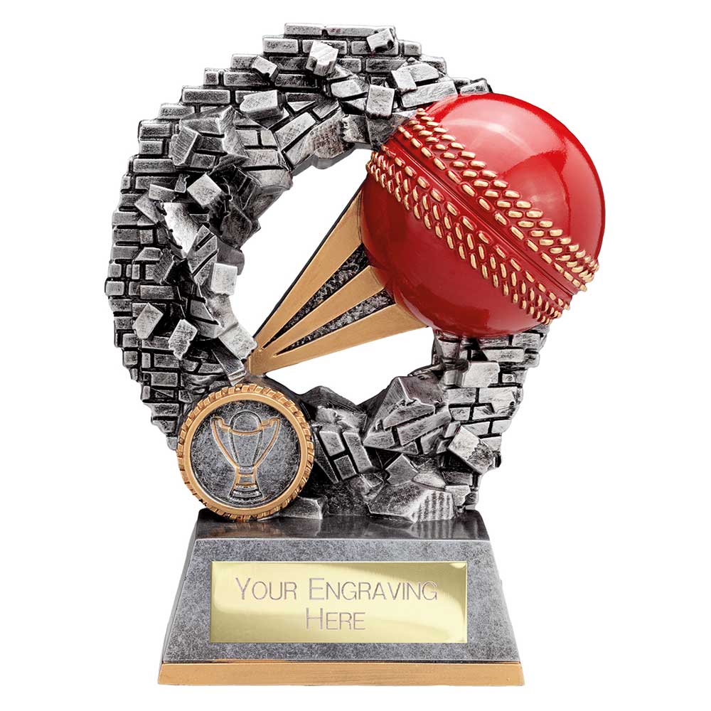 Blast Out Cricket Award