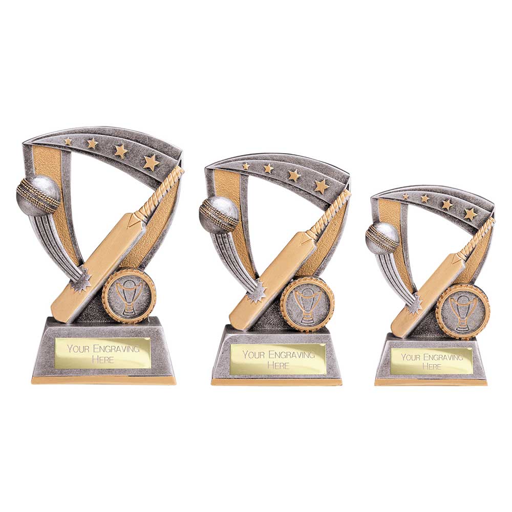 Optimum Cricket Resin Award - Trophies - Prudhoe Rosettes