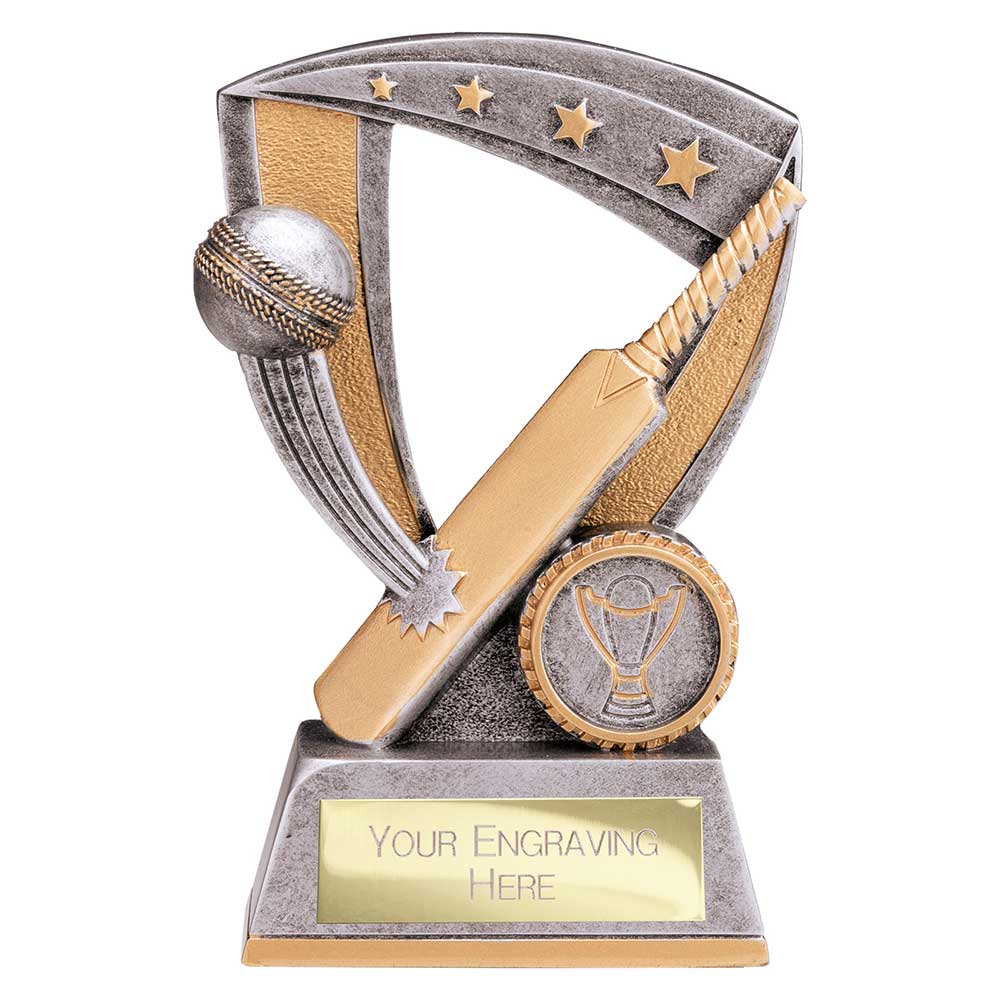 Optimum Cricket Resin Award