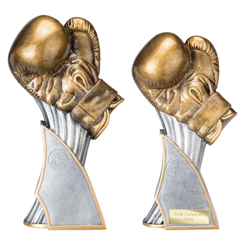 Total KO Resin Award Antique Silver - Trophies - Prudhoe Rosettes