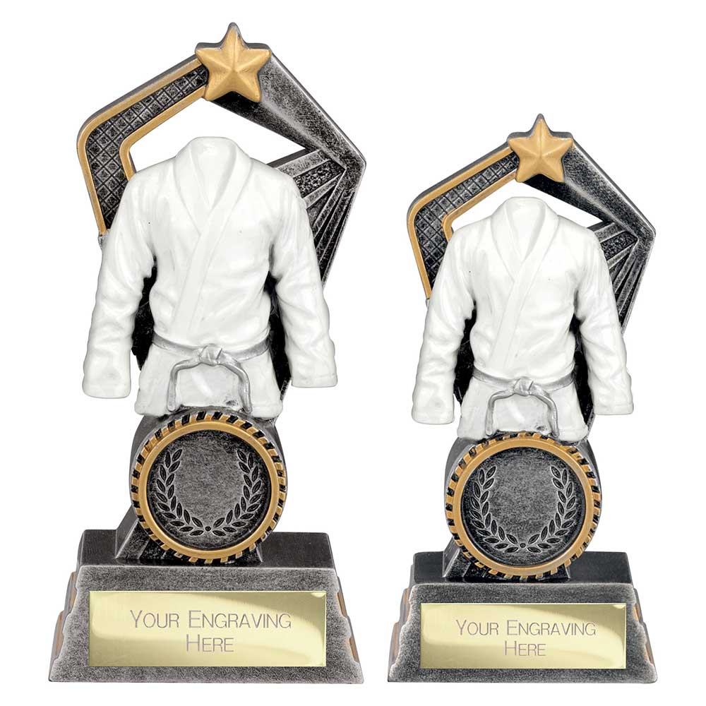 Abyss Martial Arts Resin Award - Trophies - Prudhoe Rosettes