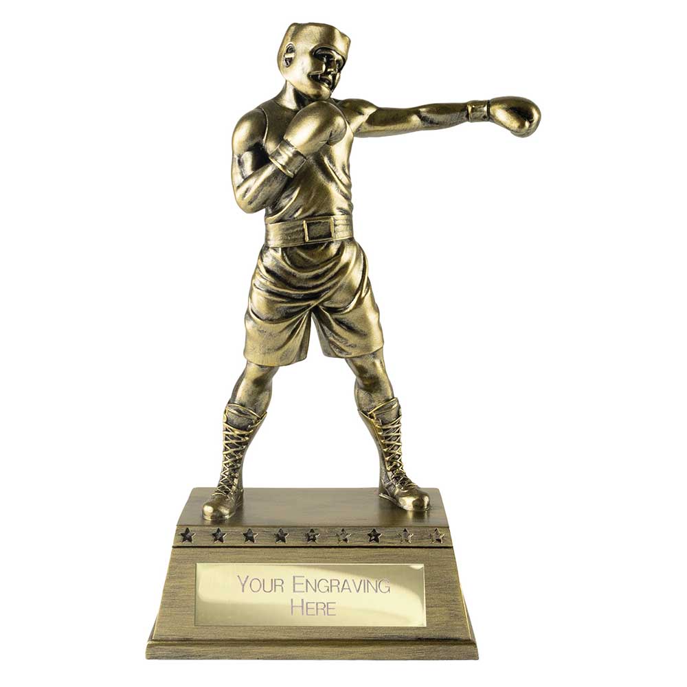The Classic Boxing Award Metallic Antique Gold