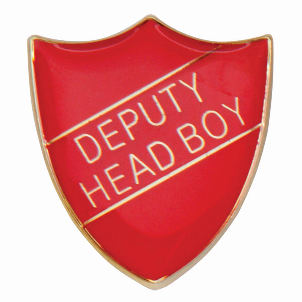 Scholar Pin Badge Deputy Head Boy