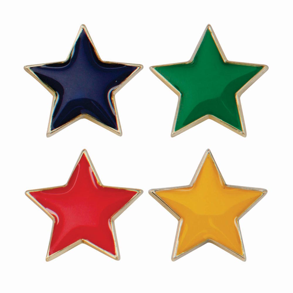 Scholar Pin Badge Star - Trophies - Prudhoe Rosettes