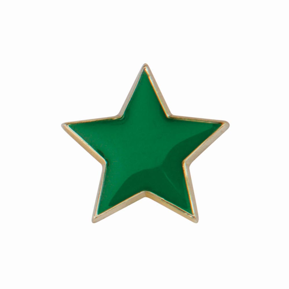 Scholar Pin Badge Star