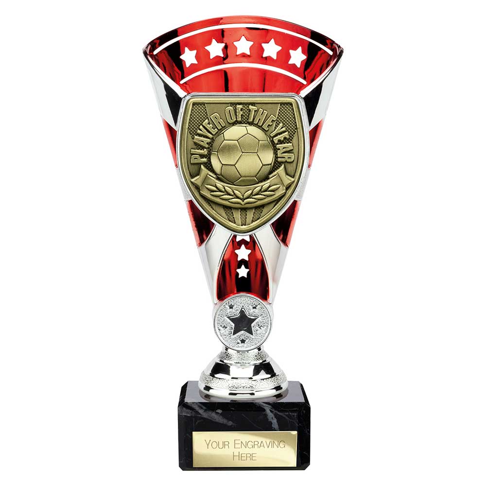 Cobra Star Cup Player of Year