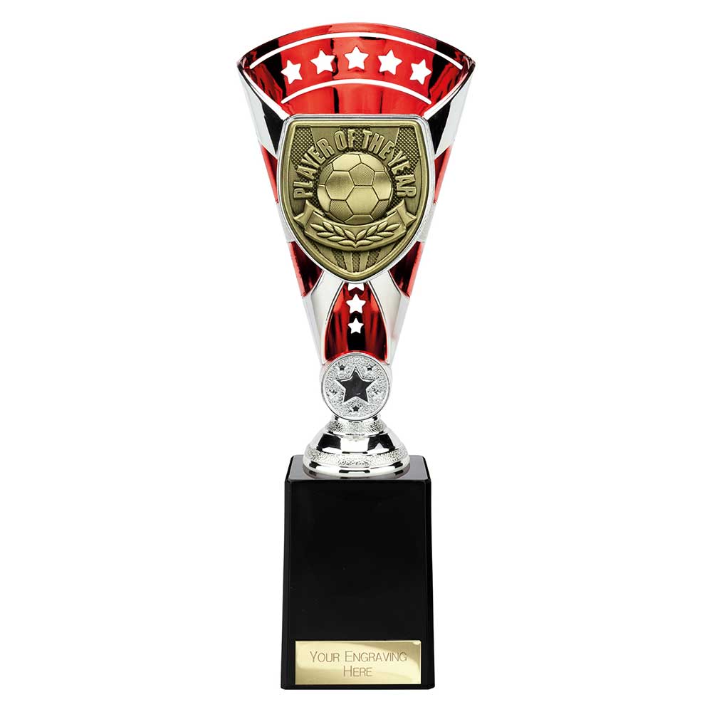 Cobra Star Cup Player of Year