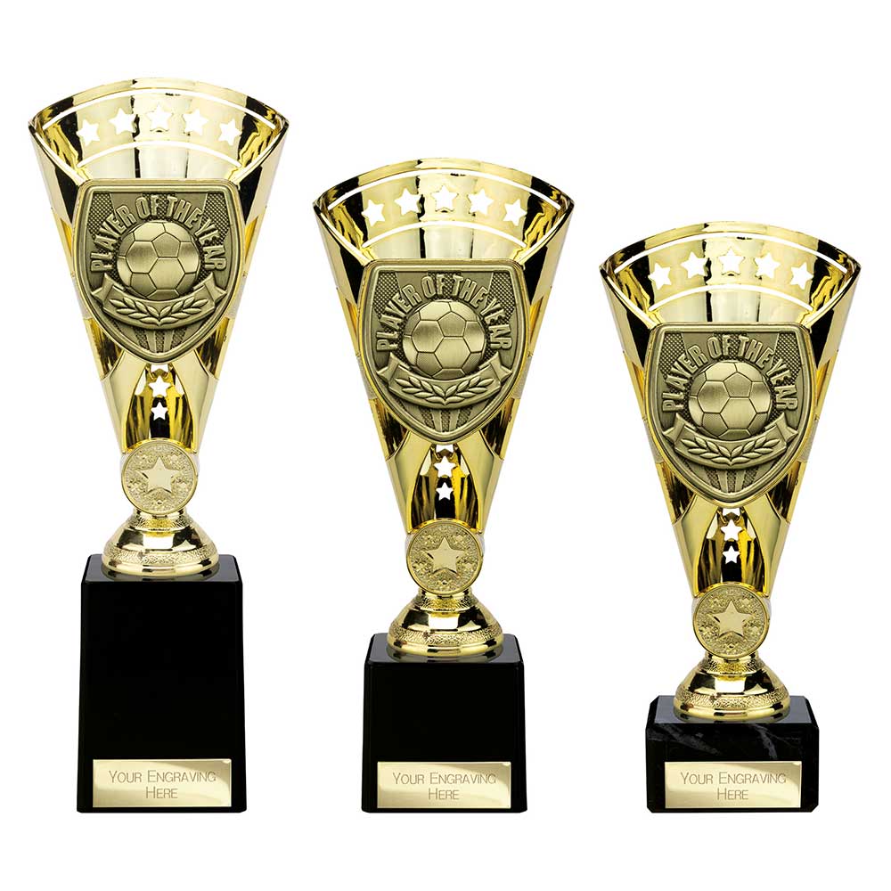 Cobra Star Cup Player of Year - Trophies - Prudhoe Rosettes