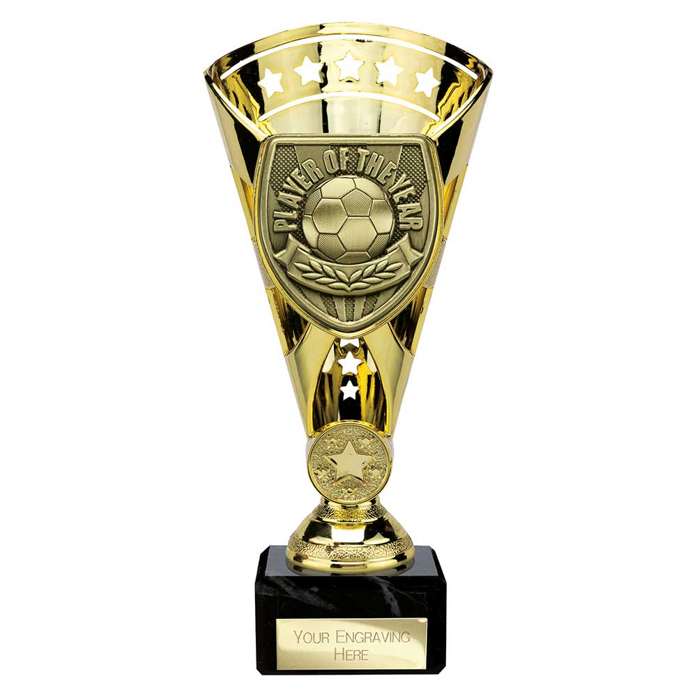 Cobra Star Cup Player of Year