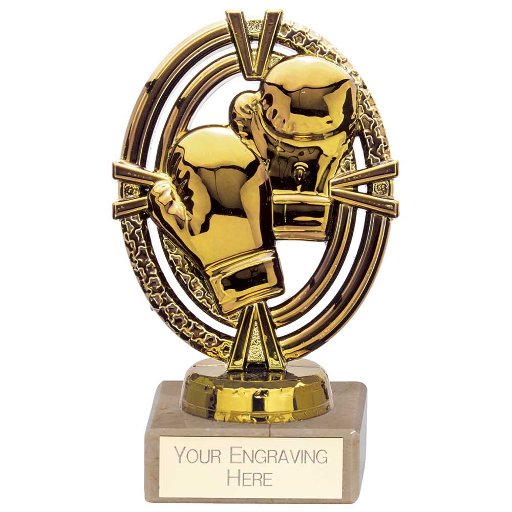 Maverick Legend Boxing Award