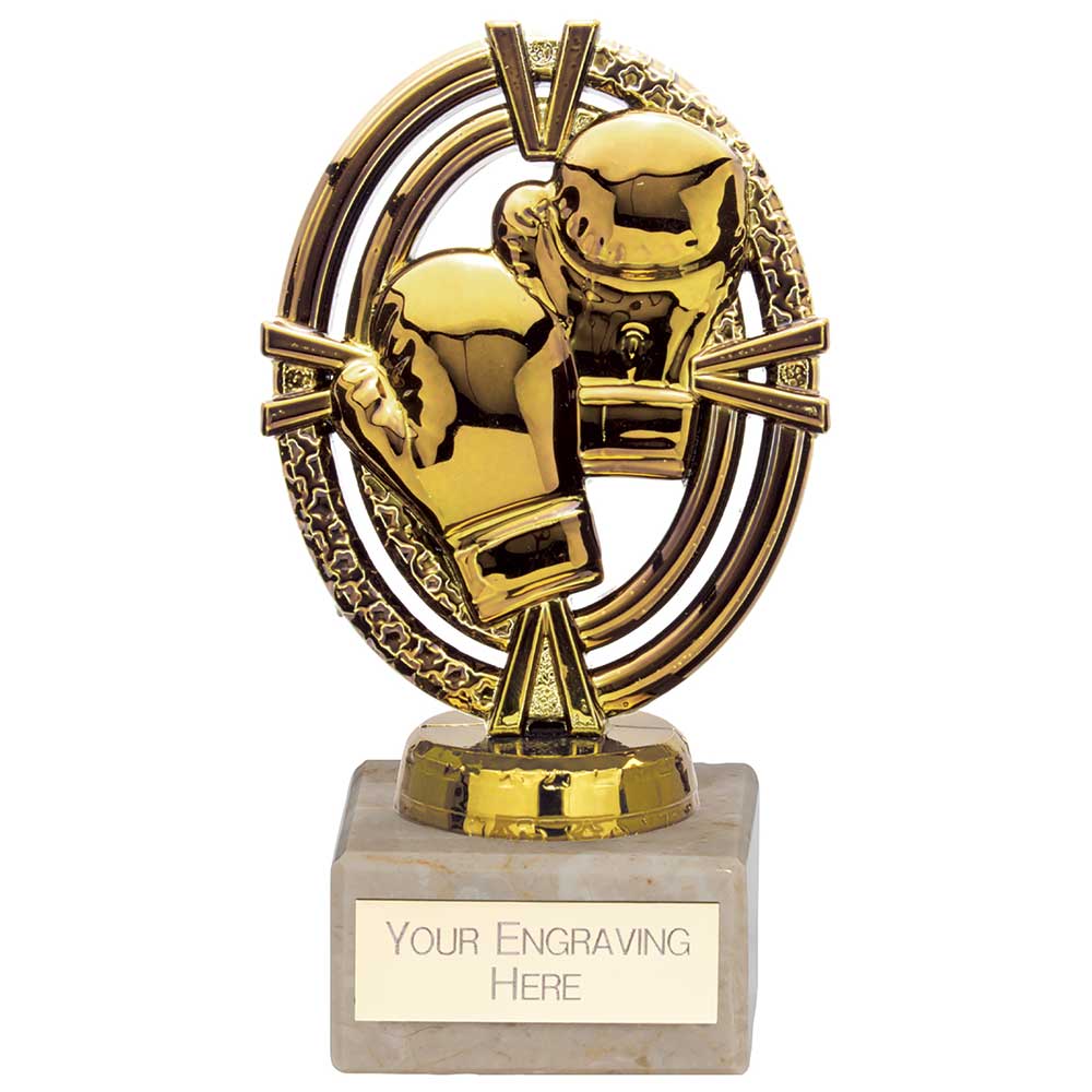 Maverick Legend Boxing Award