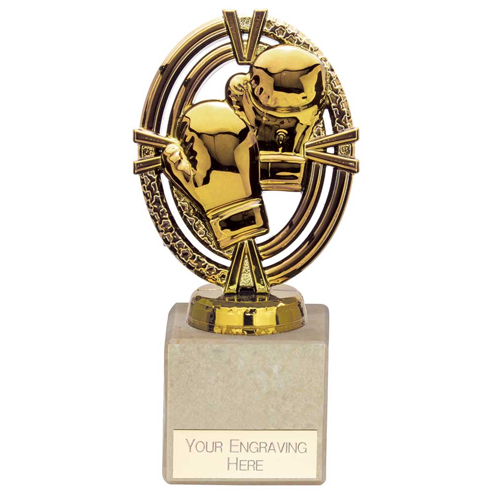 Maverick Legend Boxing Award