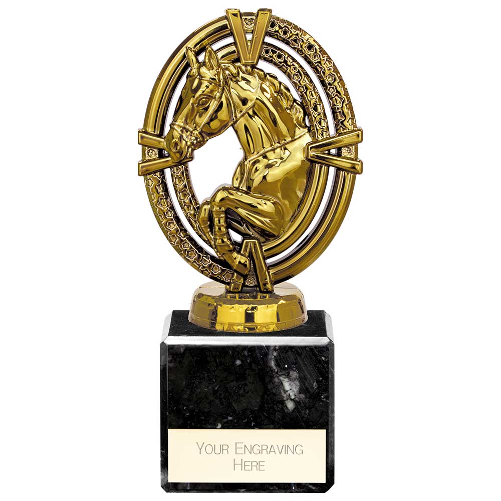 Maverick Legend Equestrian Award