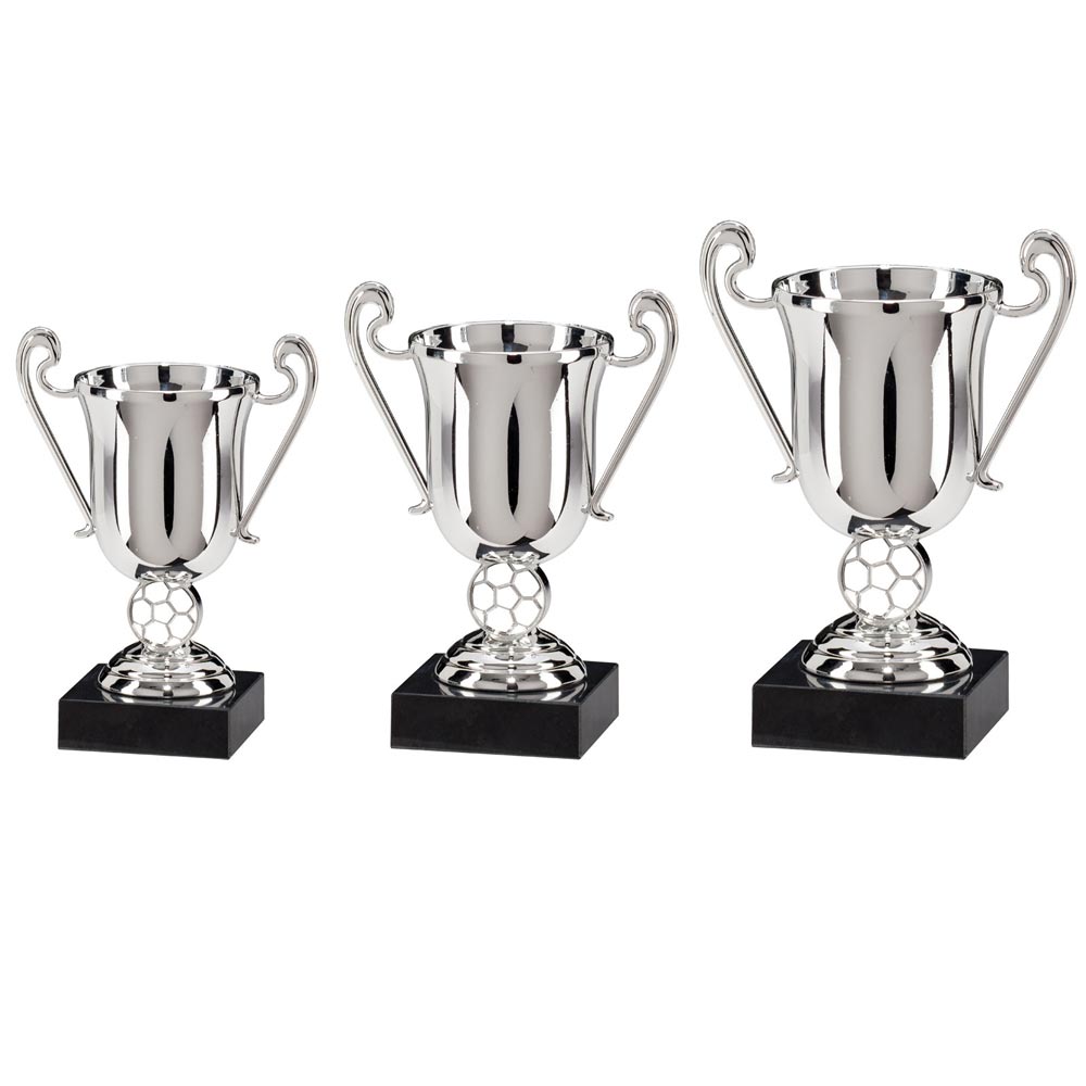 Champions Silver Plastic Cup - Trophies - Prudhoe Rosettes