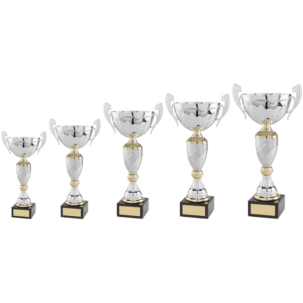 Century Cup Silver & Gold - Trophies - Prudhoe Rosettes