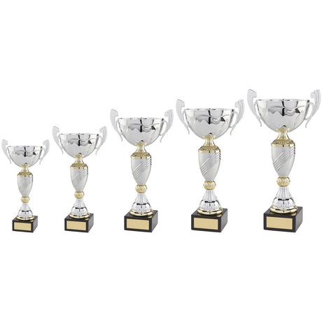 Century Cup Silver & Gold - Trophies - Prudhoe Rosettes