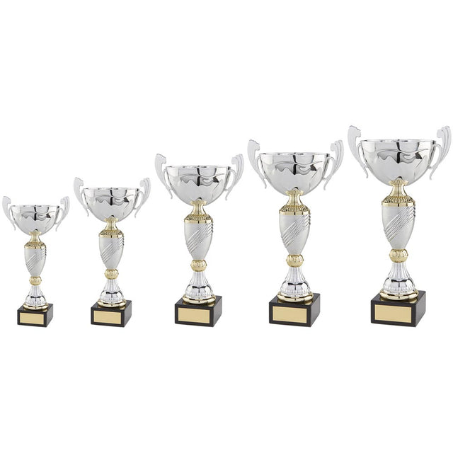 Century Cup Silver & Gold - Trophies - Prudhoe Rosettes