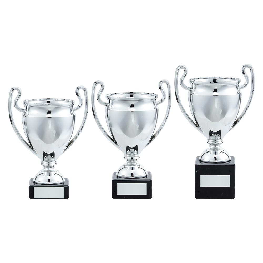 Legend Plastic Cup Silver - Trophies - Prudhoe Rosettes
