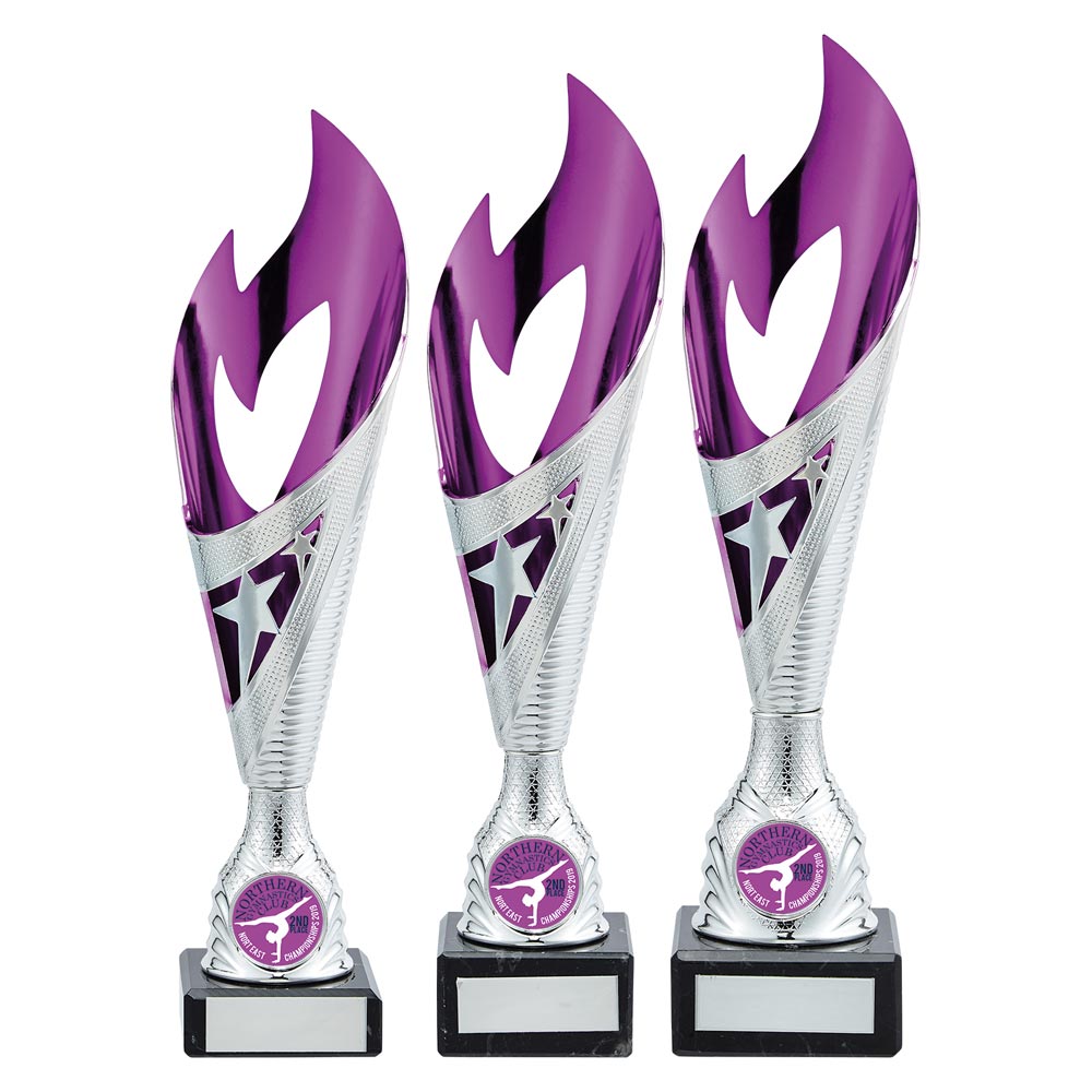 Inferno Plastic Laser Cut Cup Silver,Purple & Pink - Trophies - Prudhoe Rosettes