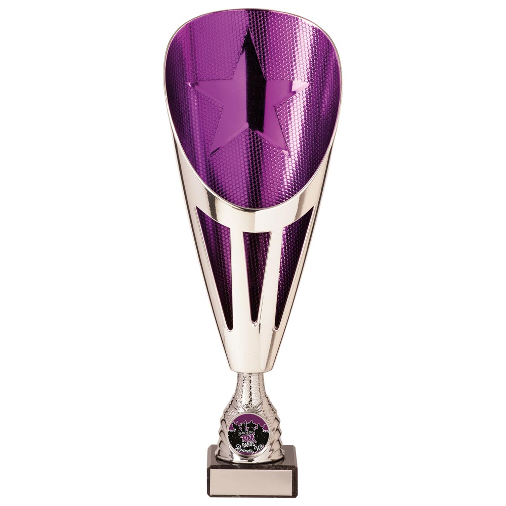 Rising Stars Deluxe Plastic Lazer Cup Silver & Purple