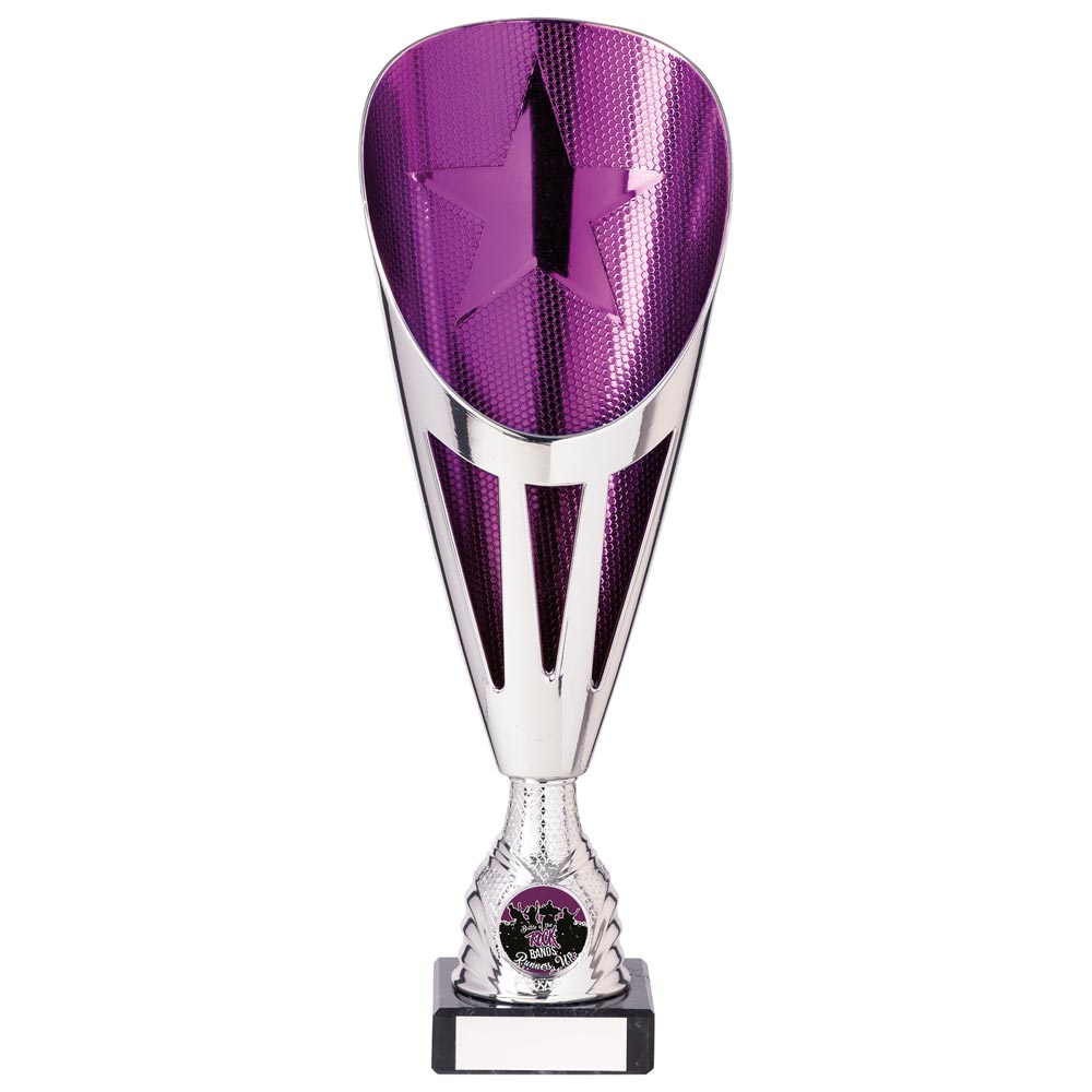 Rising Stars Deluxe Plastic Lazer Cup Silver & Purple
