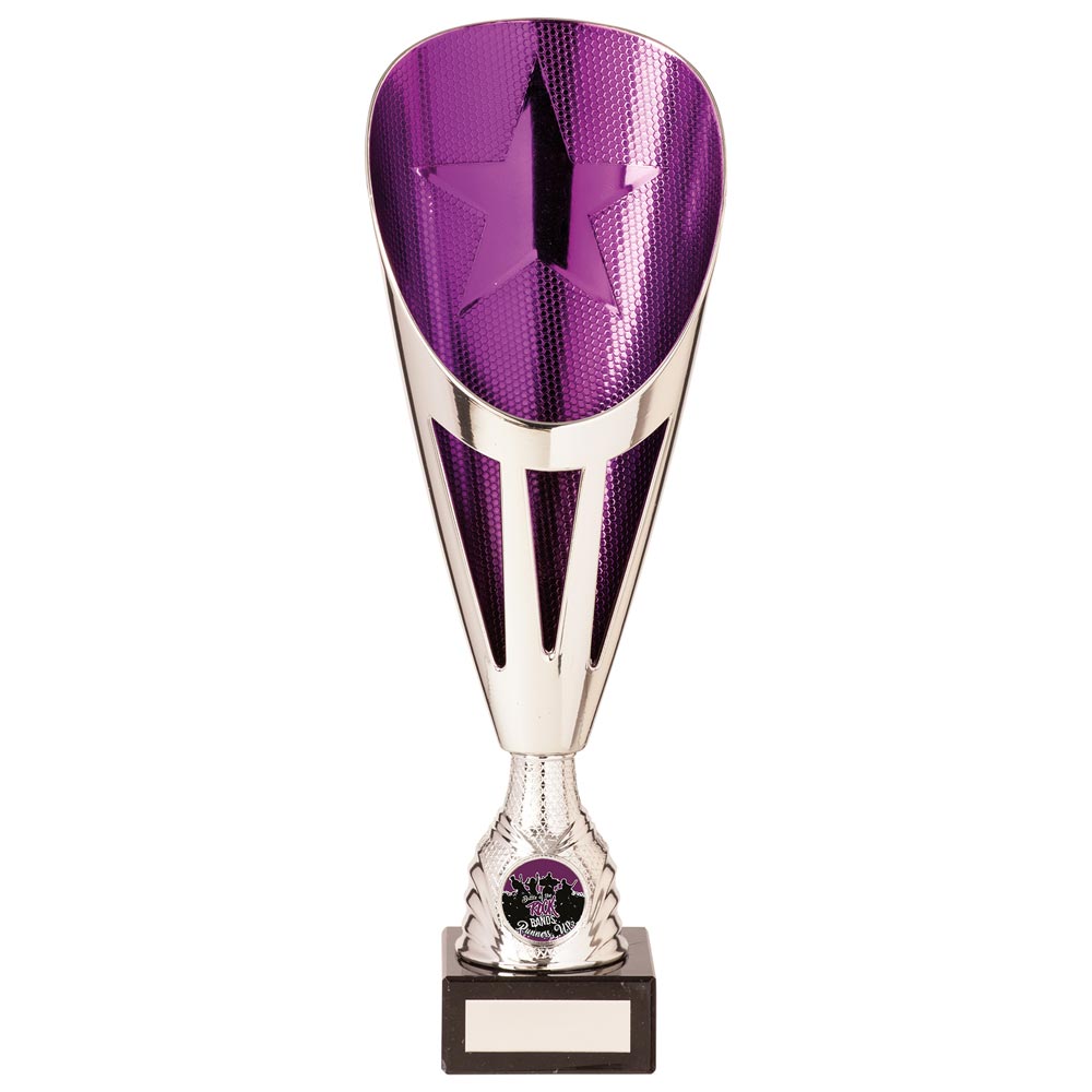 Rising Stars Deluxe Plastic Lazer Cup Silver & Purple