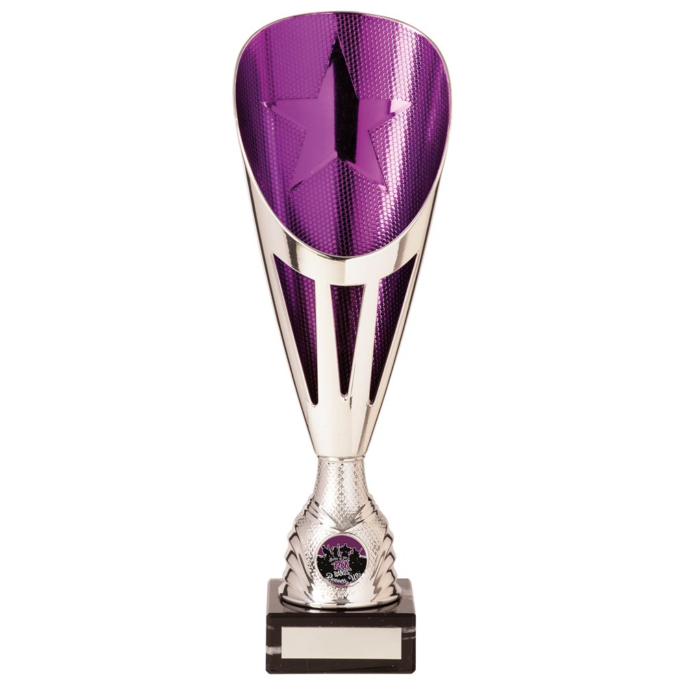 Rising Stars Deluxe Plastic Lazer Cup Silver & Purple