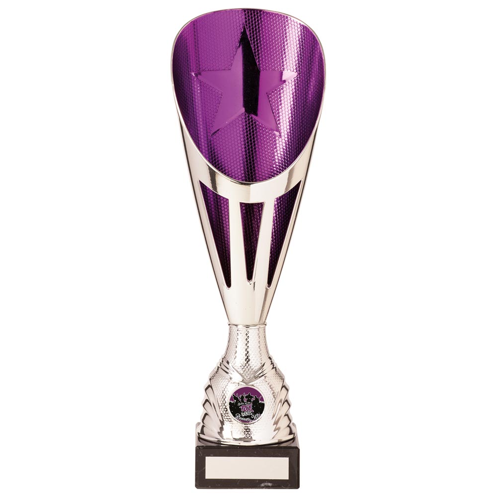 Rising Stars Deluxe Plastic Lazer Cup Silver & Purple