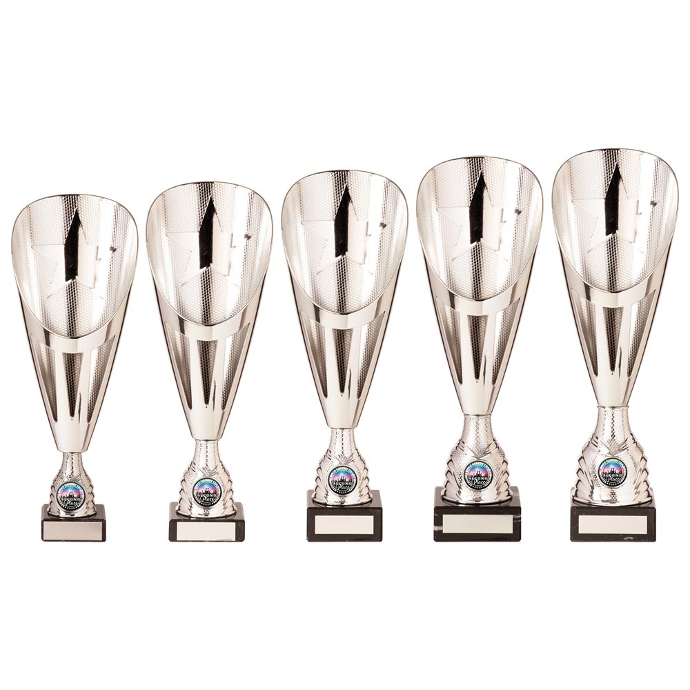 Rising Stars Deluxe Plastic Lazer Cup Silver - Trophies - Prudhoe Rosettes