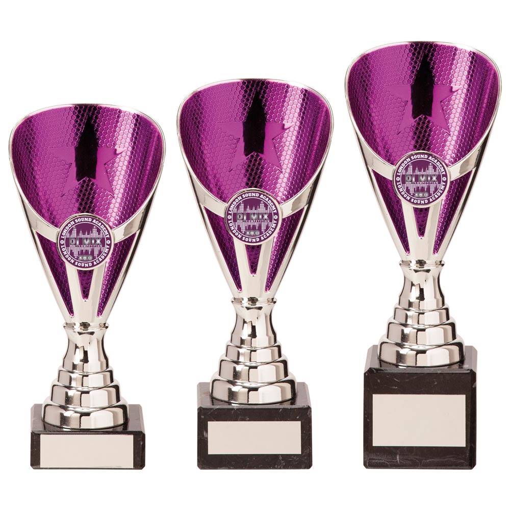 Rising Stars Premium Plastic Trophy Silver & Purple - Trophies - Prudhoe Rosettes