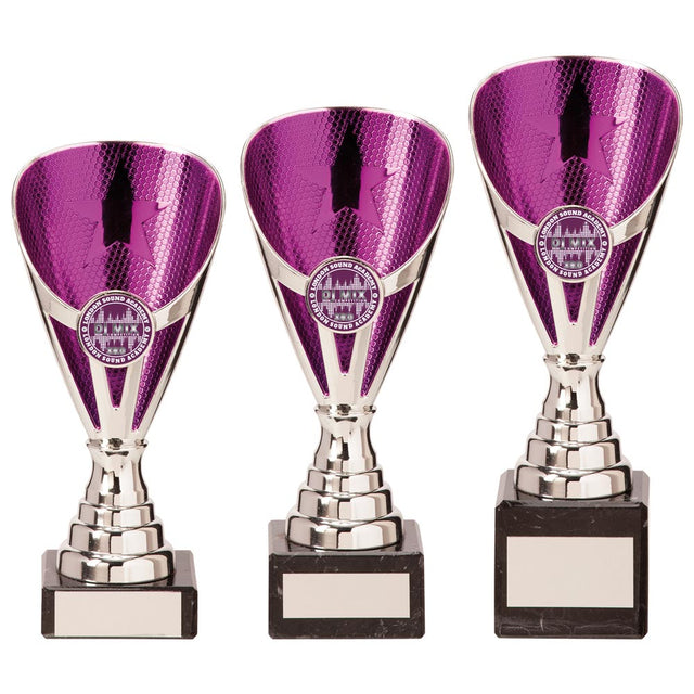 Rising Stars Premium Plastic Trophy Silver & Purple - Trophies - Prudhoe Rosettes