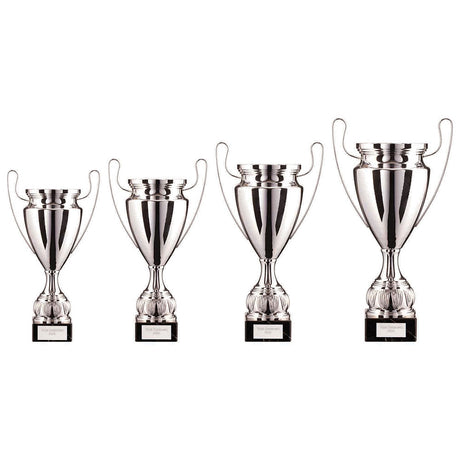 EuroStars Cup Silver - Trophies - Prudhoe Rosettes