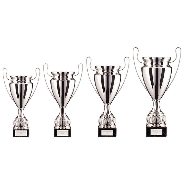 EuroStars Cup Silver - Trophies - Prudhoe Rosettes
