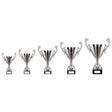 Cascade Cup Silver - Trophies - Prudhoe Rosettes