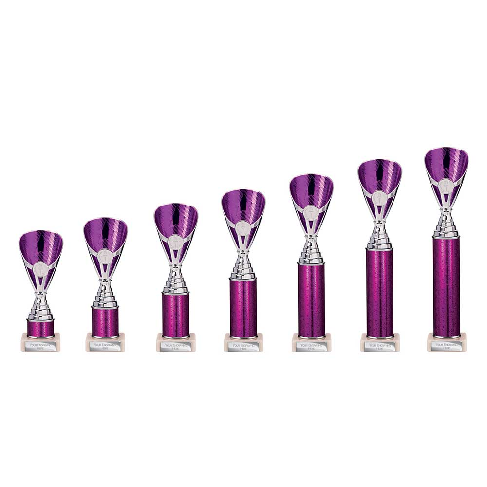 Rising Stars Plastic Trophy Purple - Trophies - Prudhoe Rosettes