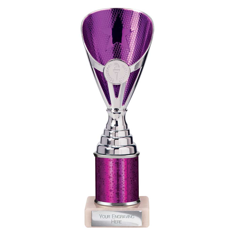 Rising Stars Plastic Trophy Purple