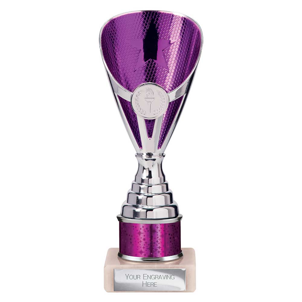 Rising Stars Plastic Trophy Purple